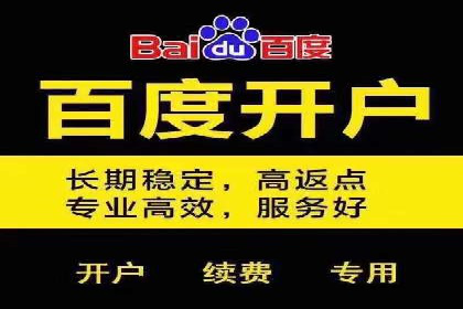 突破关键词竞价排名困境的案例解析